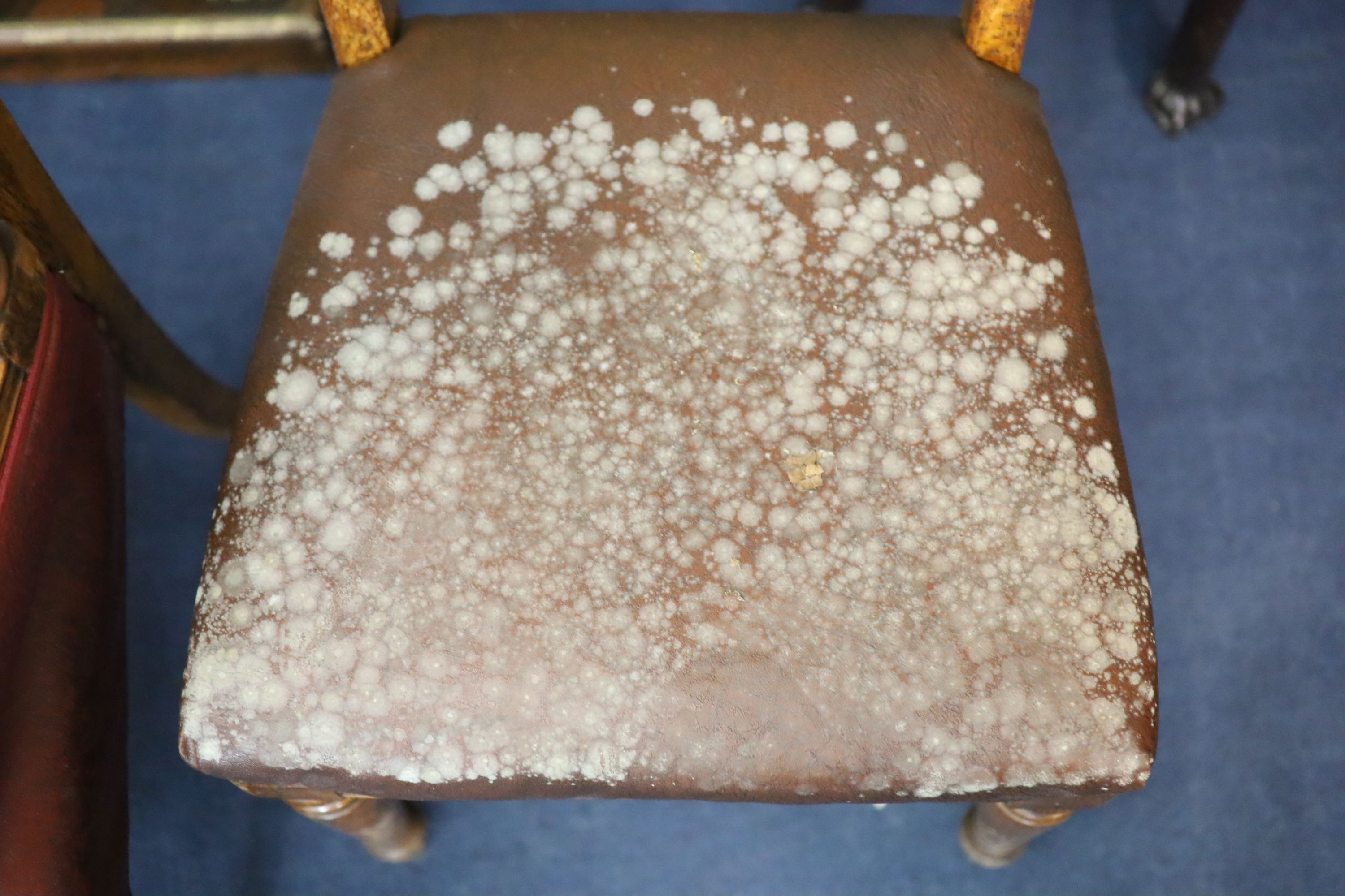 A set of eight early Victorian oak dining chairs